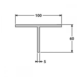 T 100x60 brut