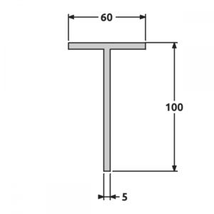 T 60x100 brut