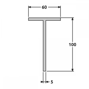 T 60x100 fine structure